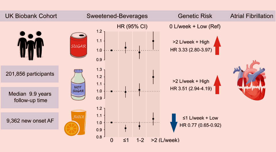   N + 1; Ying Sun et al. / Circulation: Arrhythmia and Electrophysiology, 2024