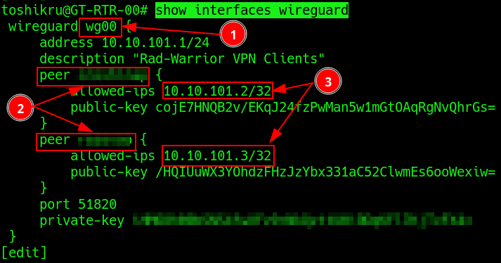 Информация о настроенных на роутере интерфейсах WireGuard