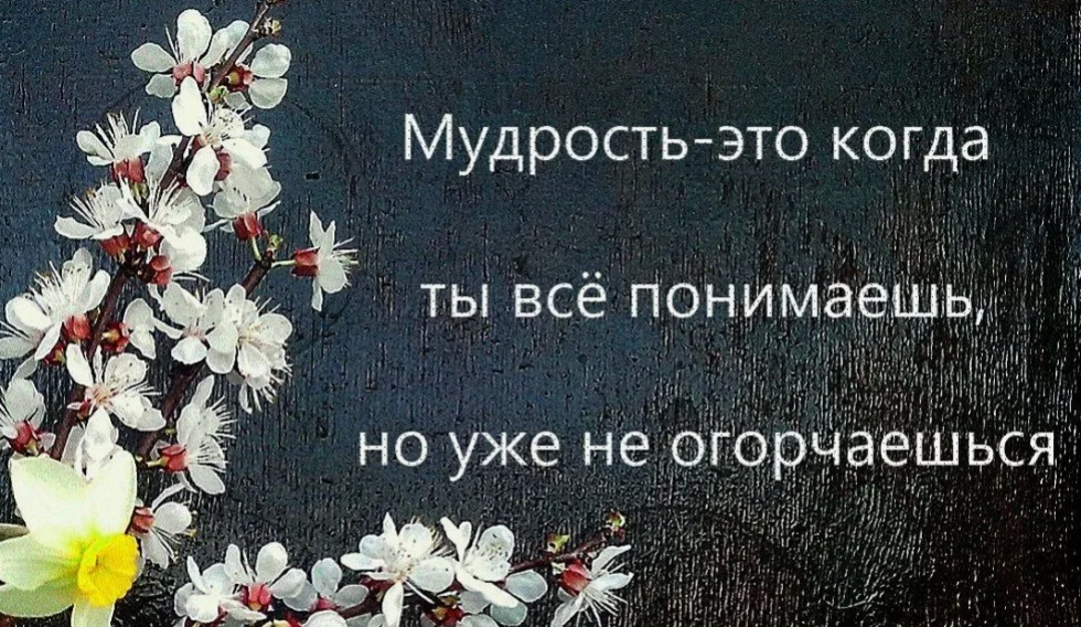Он искал ее в других. У меня есть я цитаты. Цитаты про ссоры с друзьями. Если тебя не любят цитаты. Она другая цитаты.