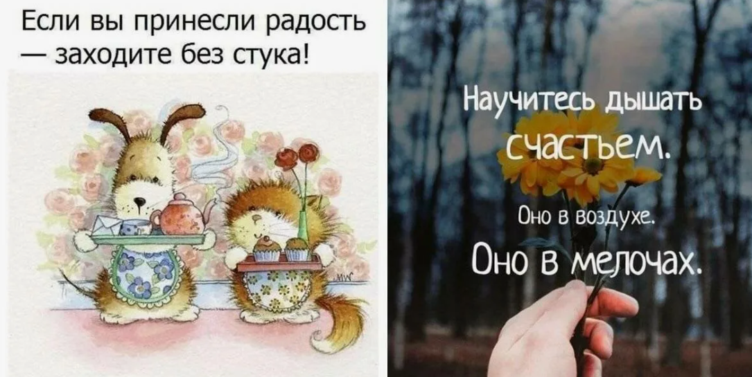 Ждите и любите новый день. Маленькие радости цитаты. Позитивные высказывания. Радость в мелочах афоризмы. Цитаты о радости.