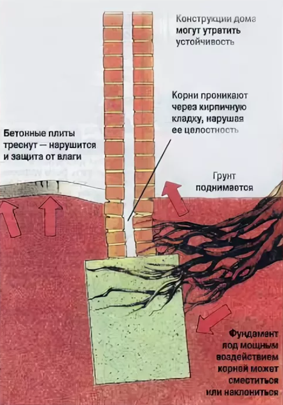 Март – прекрасный месяц! Холода потихоньку отступают, снег тает, птички поют. Уже совсем скоро и все мы «высыпимся» на улицу, кто погреться, кто высадить рассаду, а кто и продолжить стройку.-2