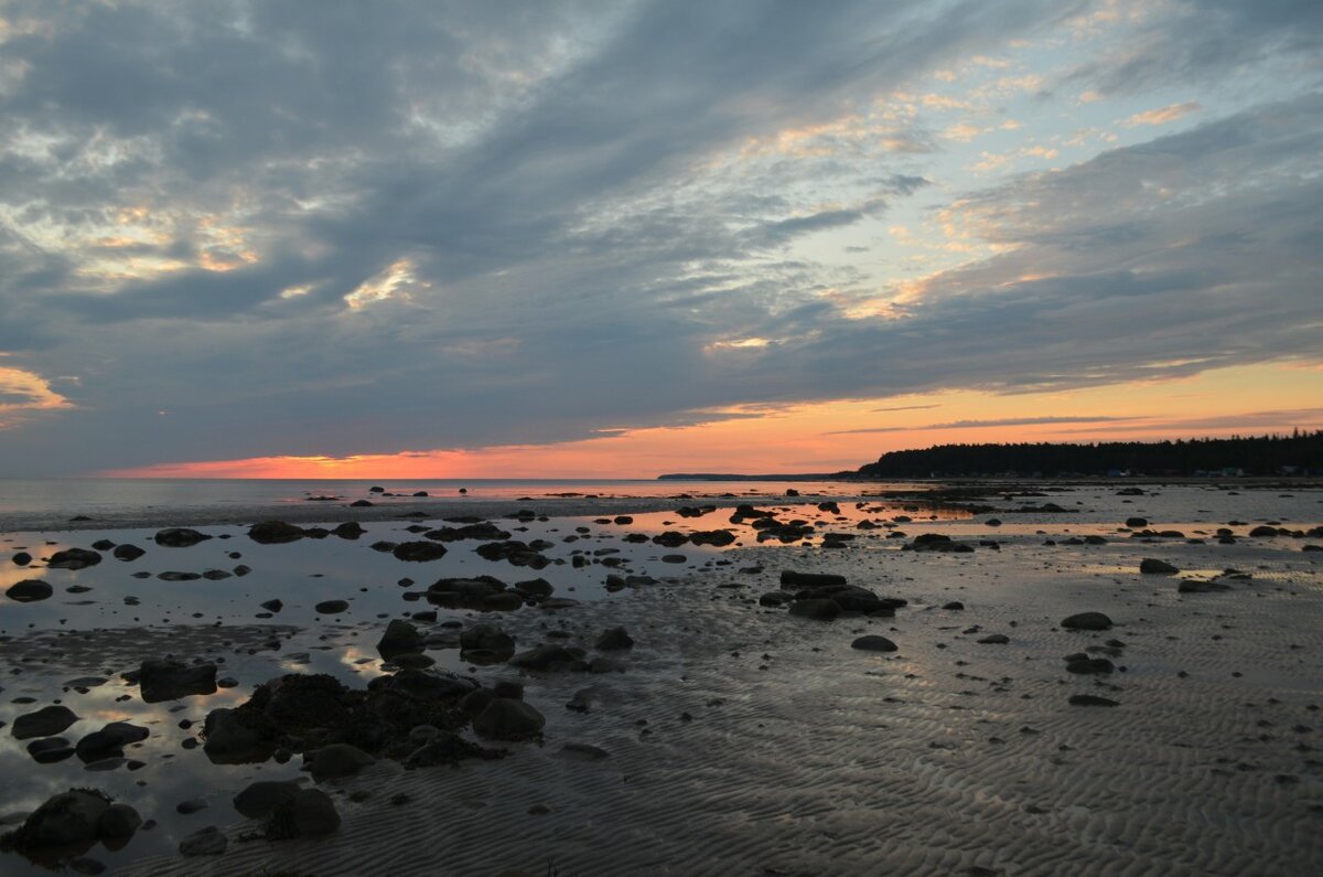 южный берег белого моря. белое море. побережье белого моря. сосновские острова белое море. белое море карелия.