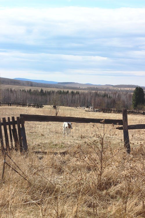 иди и копай!