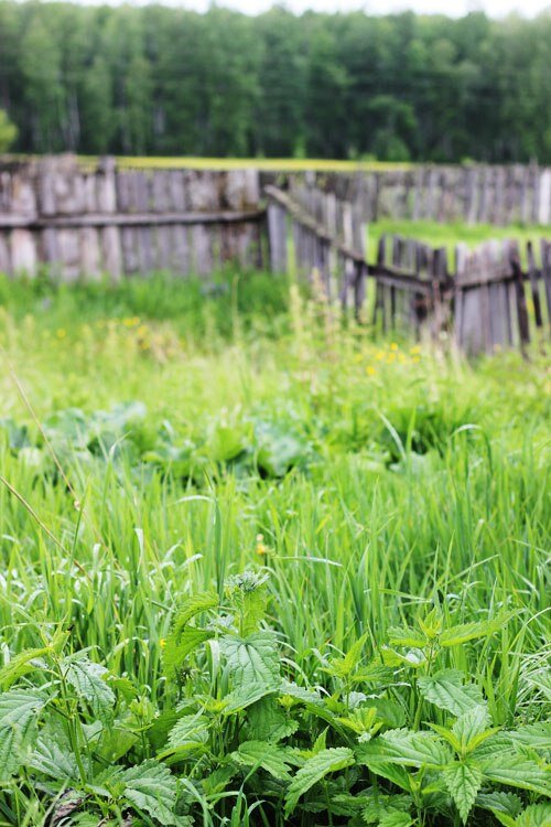 или не копай, тогда вот урожай!