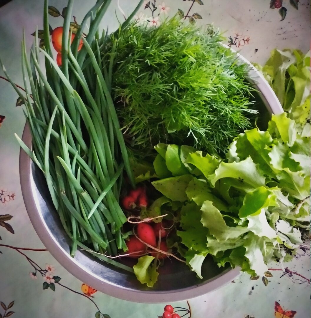 июньская радость и награда за труды