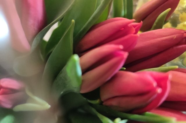    В этом году 8 марта выпадает на пятницу