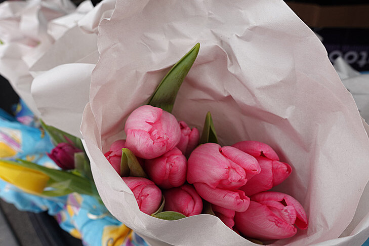 розы желтые тюльпаны сибирские морозы