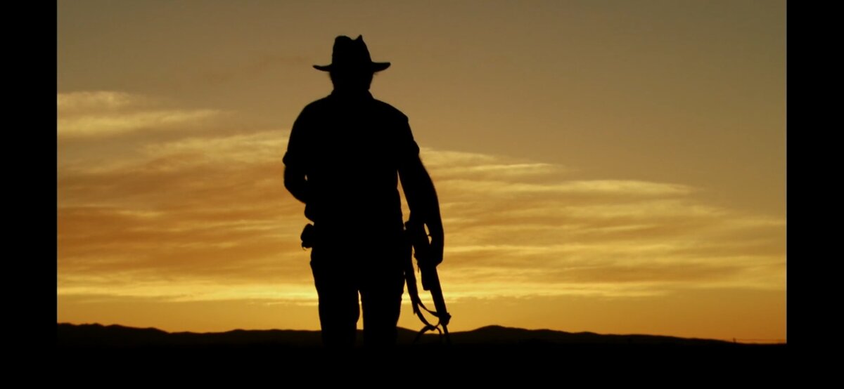 Все изображения в статье из открытых источников