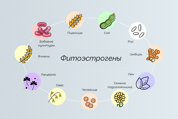 У женщины — как опыт учит нас — здоровье с красотою неразлучны © Лопе де Вега, «Собака на сене» Тема женской красоты как никогда актуальна в преддверие весеннего женского праздника.-4