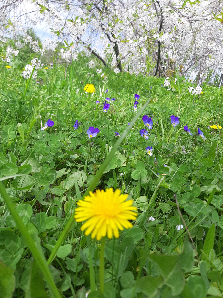 Тане хотелось быть поближе к природе