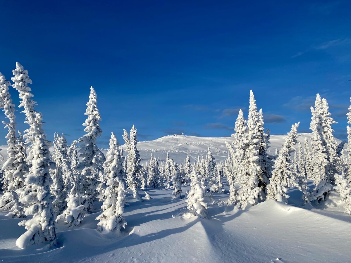 горнолыжный курорт в кемеровской области шерегеш. горнолыжка кемерово шерегеш. гора утуя шерегеш. глк шерегеш. горнолыжка шерегеш.