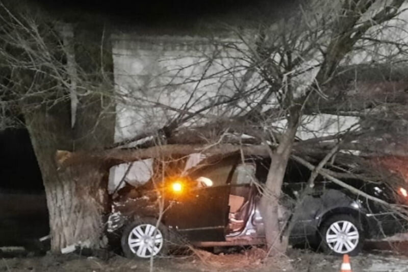    На месте ДТП (фото ГУ МВД по Волгоградской области)