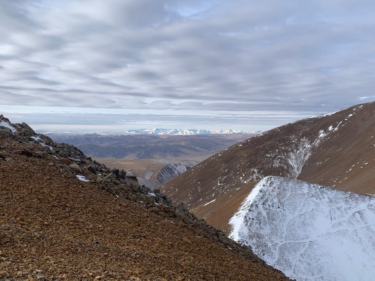 Козерог, Ibex / Охотничьи фото: Трофейная комната / Сибирский охотник