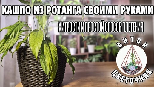 Так дёшево, что можно весь сад украсить: плетём кашпо из ротанга своими руками