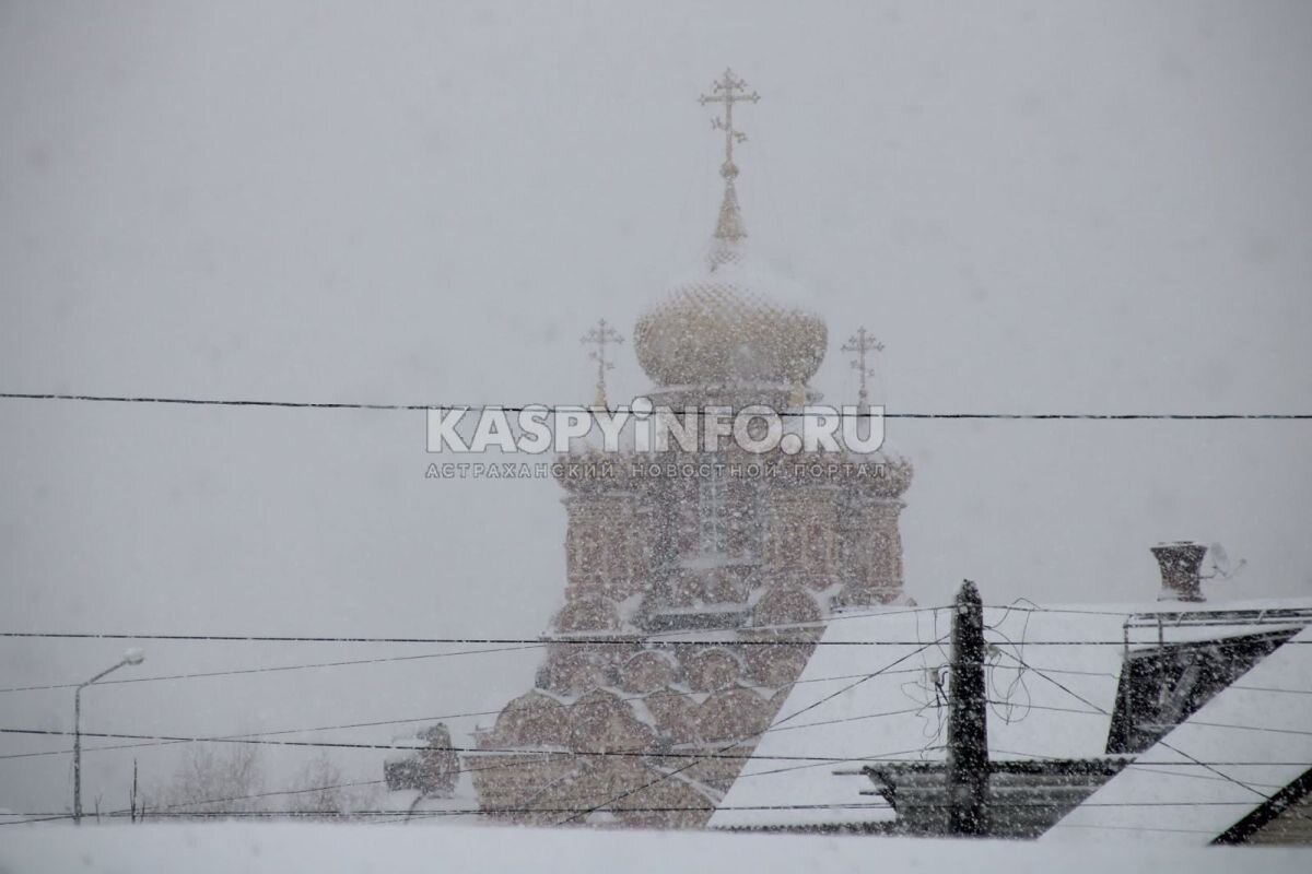 Фото: Е. Зимней 