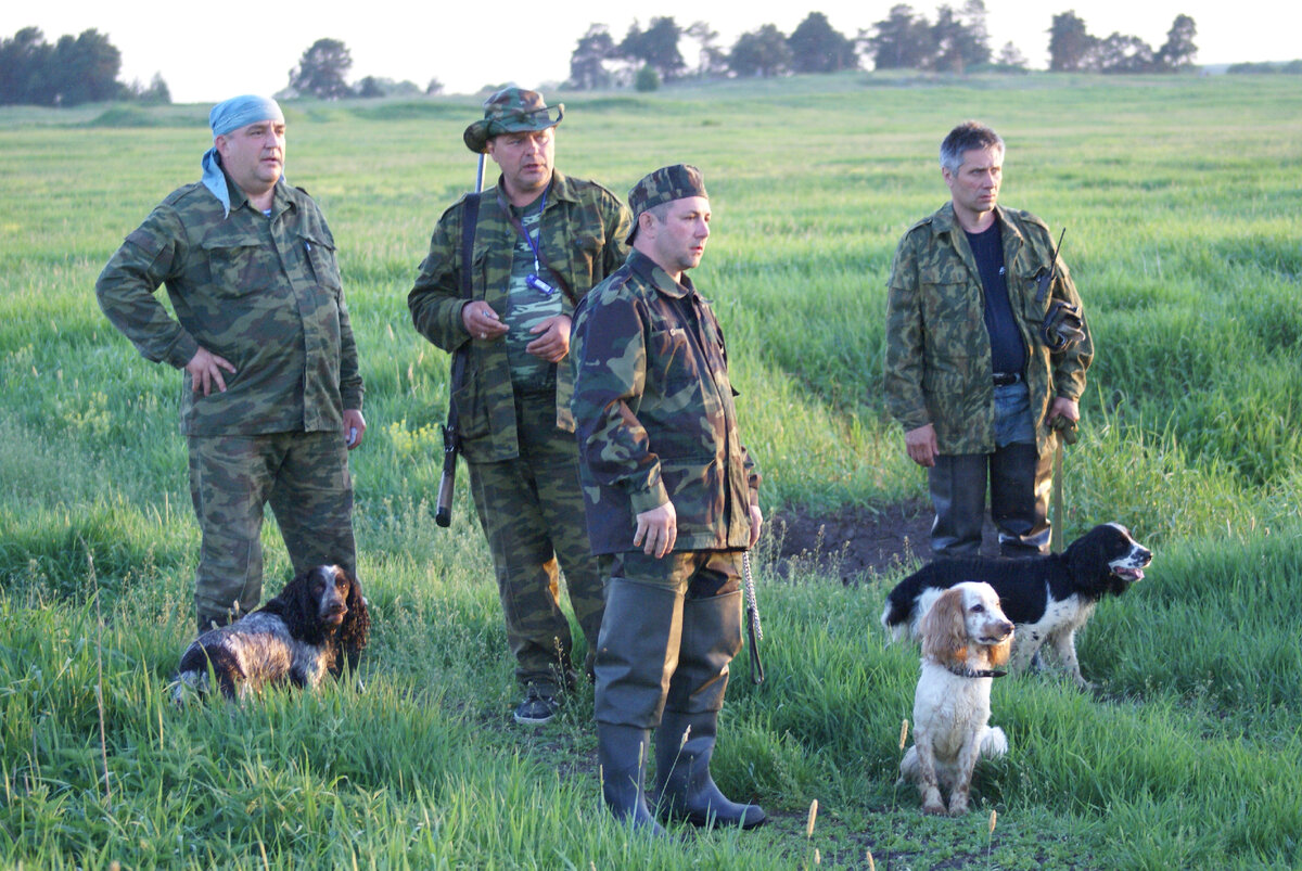 полевые испытания по болотно луговой дичи