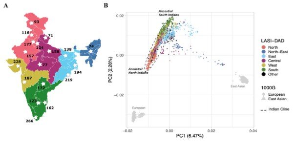 Структура и примеси населения Индии в разных регионах страны (E.Kerdoncuff, L.Skov et al, 2024)