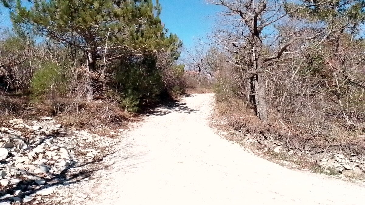 Прогулочно-велосипедный маршрут Вело-Sea