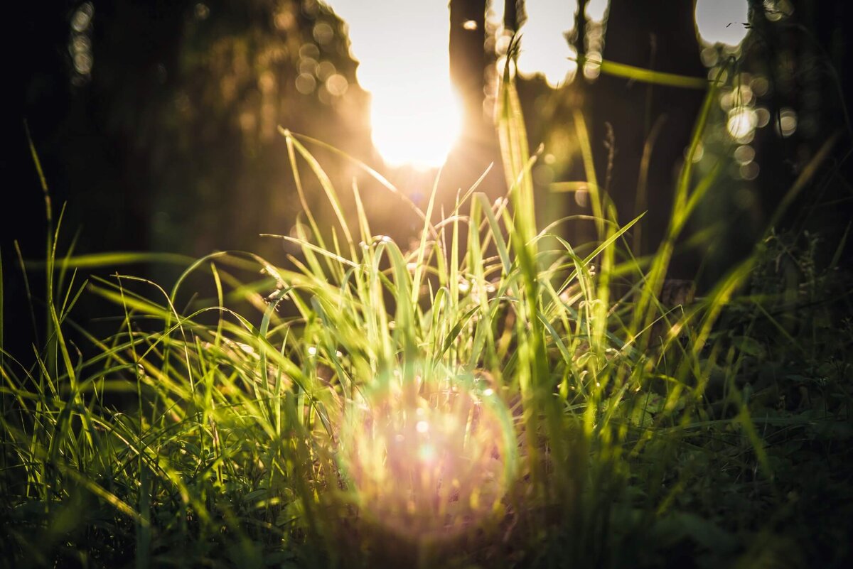 Природа Страны КОМПЬЮТЕРиЯ