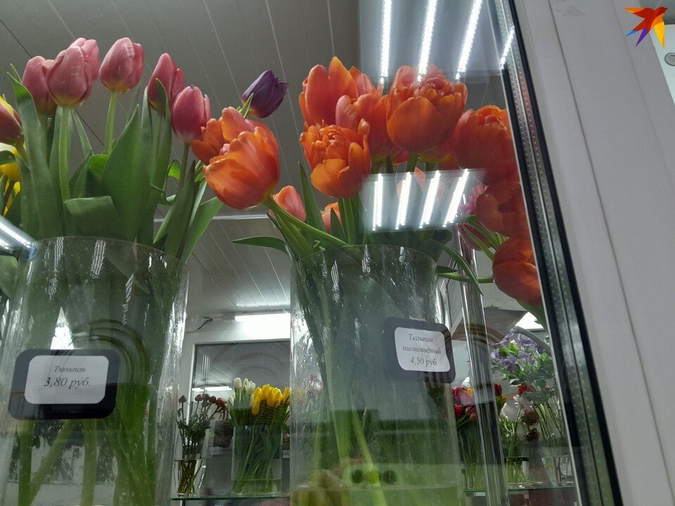 Сумма чисел от 1 до 365. Деление суммы на число разряда. Какое число. Сколько будет 100 + 100. Сумма натуральных чисел от 1 до 100 равна.