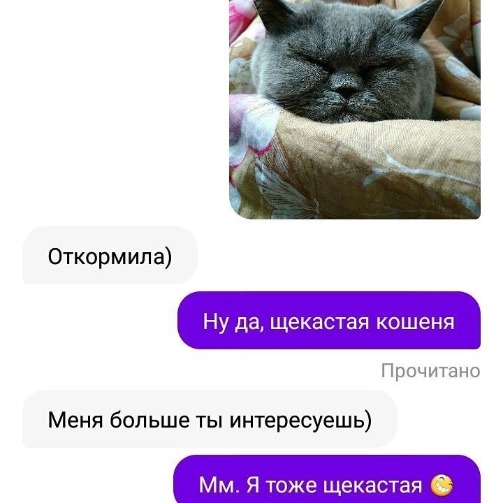 Картинка взята с сайта https://clck.ru/39FHkS