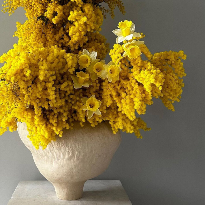 I can buy myself flowers lyrics. Амели гонсалес flowers. Песня i can buy myself flowers. Песня i can buy myself flowers. I can buy myself flowers.