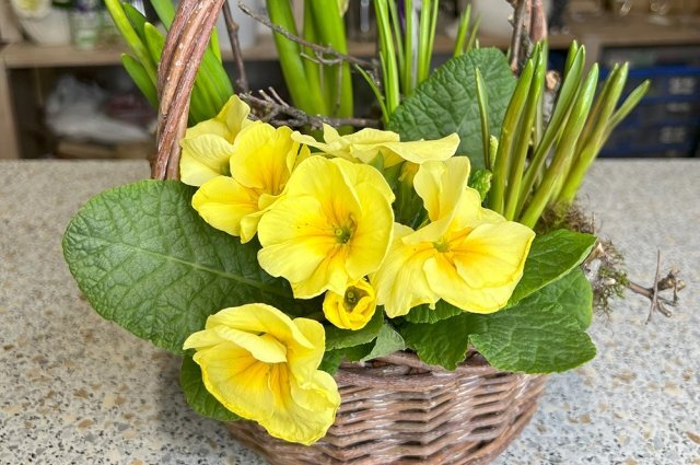    Какого цвета лучше выбрать букет на 8 Марта?