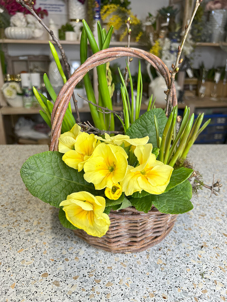    Фото: Александра Кранцова