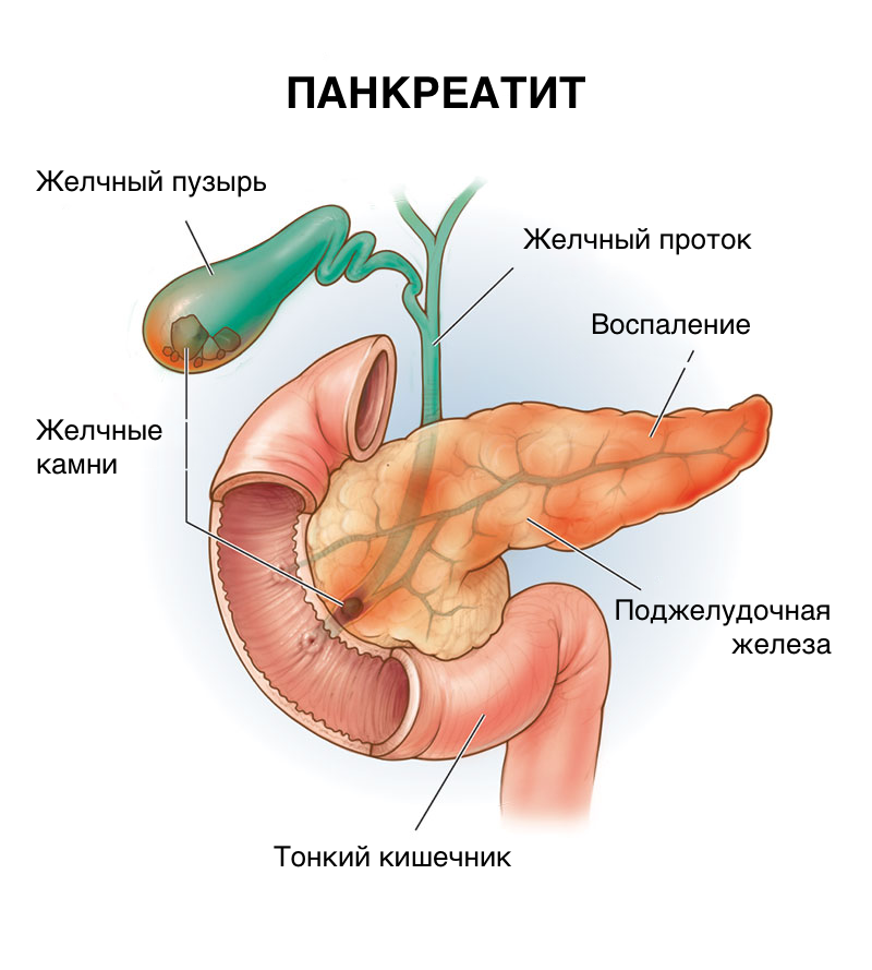 Центр лечения поджелудочной железы и желчевыводящих путей