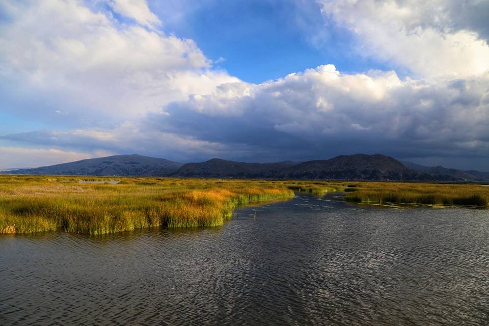 Фото автора