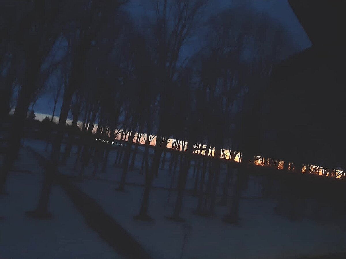 Солнышко встает. Маленькая полоска света-это зооферма. 