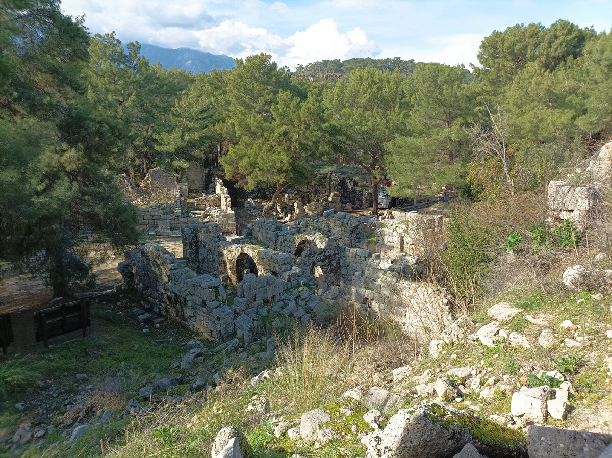 Фото сделано автором