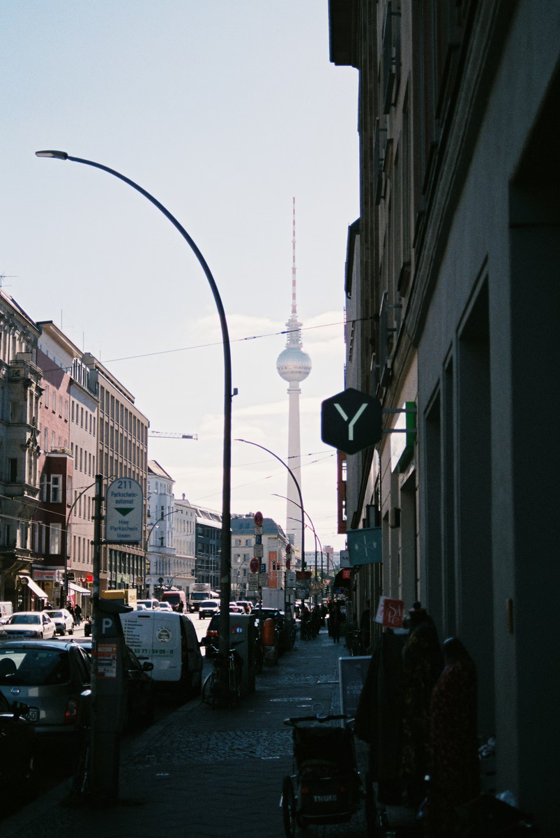 Фото взято из открытых источников сети интернет