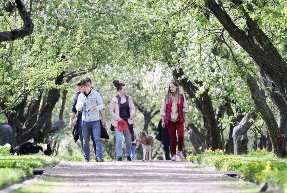    Майские праздники