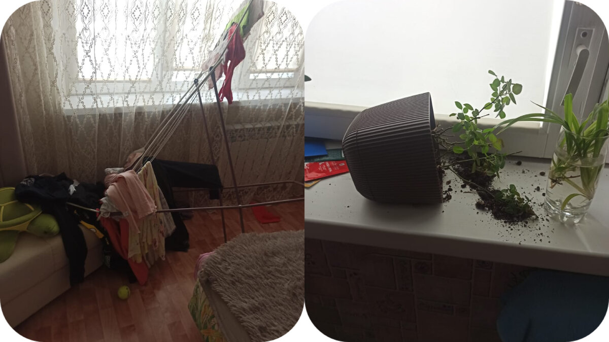 Фото автора канала.