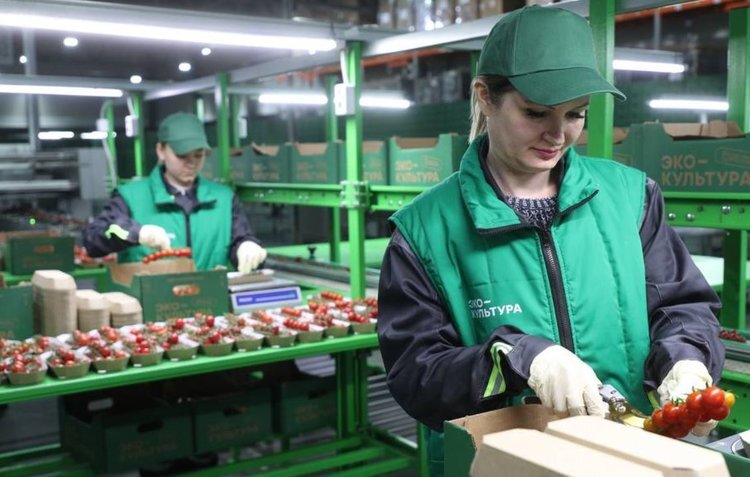     Сильный зерновой комплекс Ставрополья служит примером для развития других агронаправлений в крае

