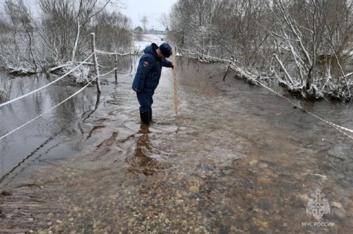 Даже мост ушел под воду. Как жители Смоленщины спасаются от паводка | АиФ  Смоленск | Дзен