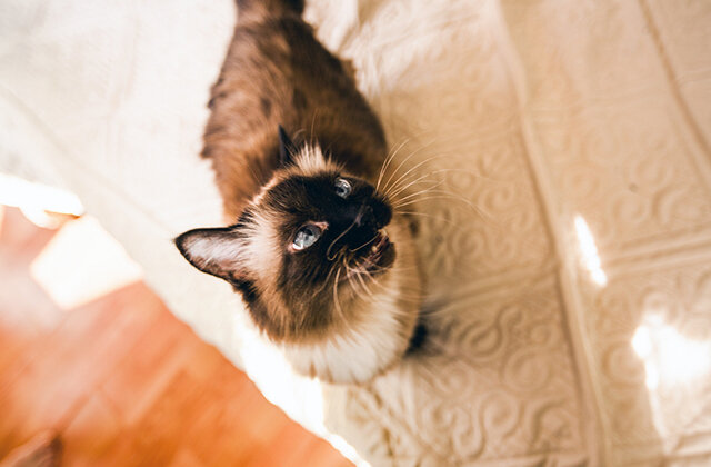 Фото: Shutterstock.com