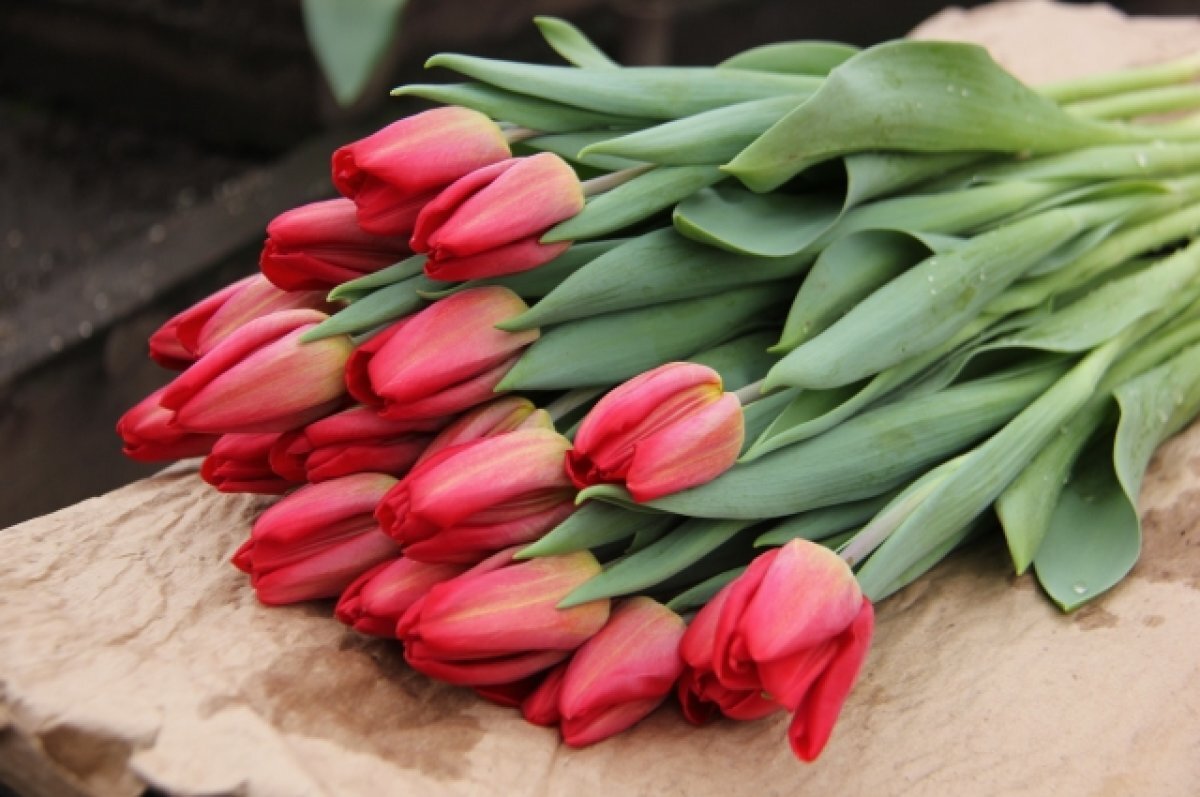    Во Владивостоке продавцы тюльпанов устроили драку из-за места на рынке