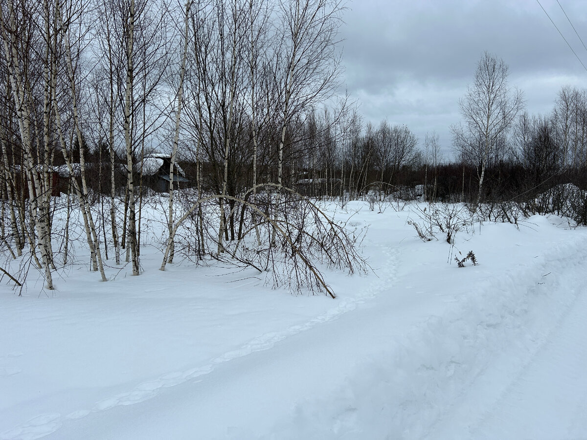 горы 3d. участок горы 3. горы 3d model. республика тыва гора три медведя. текстура горы.