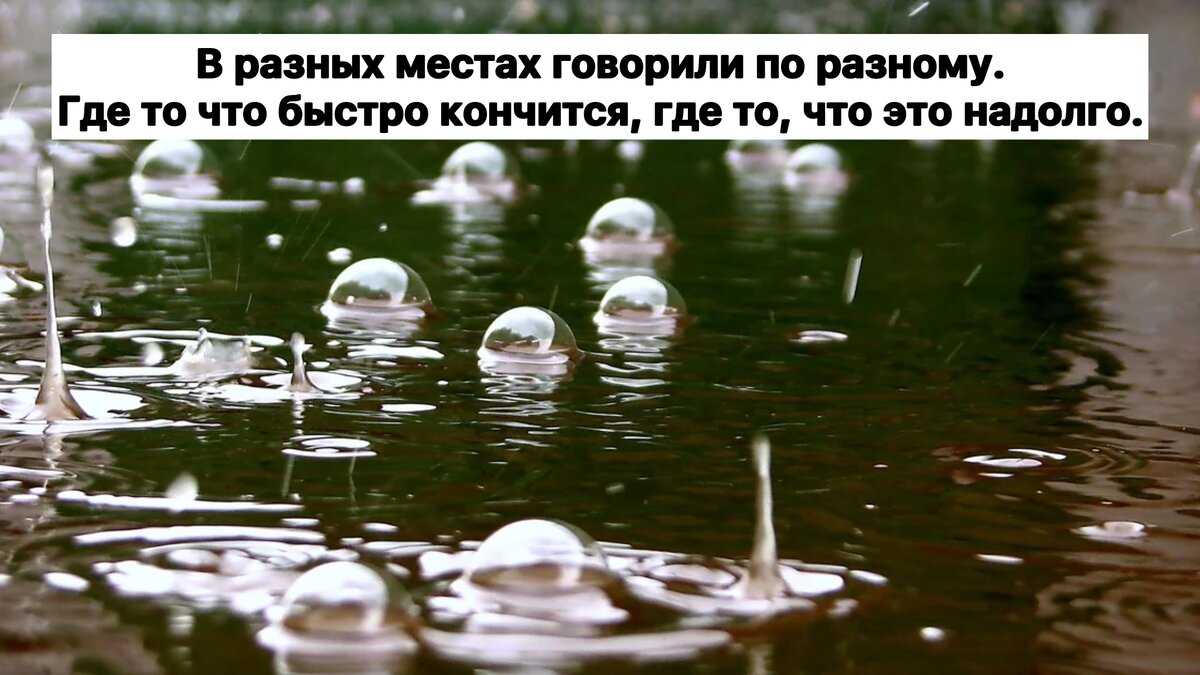   1)У верблюда в горбе вода 2)Ежики любят молоко 3)Собаки любят кости, кошки - рыбу, а мыши - сыр.  4)В аптеках принимают сигаретный пепел и проволоки накаливания из ламп, но нужно собрать килограмм.-4