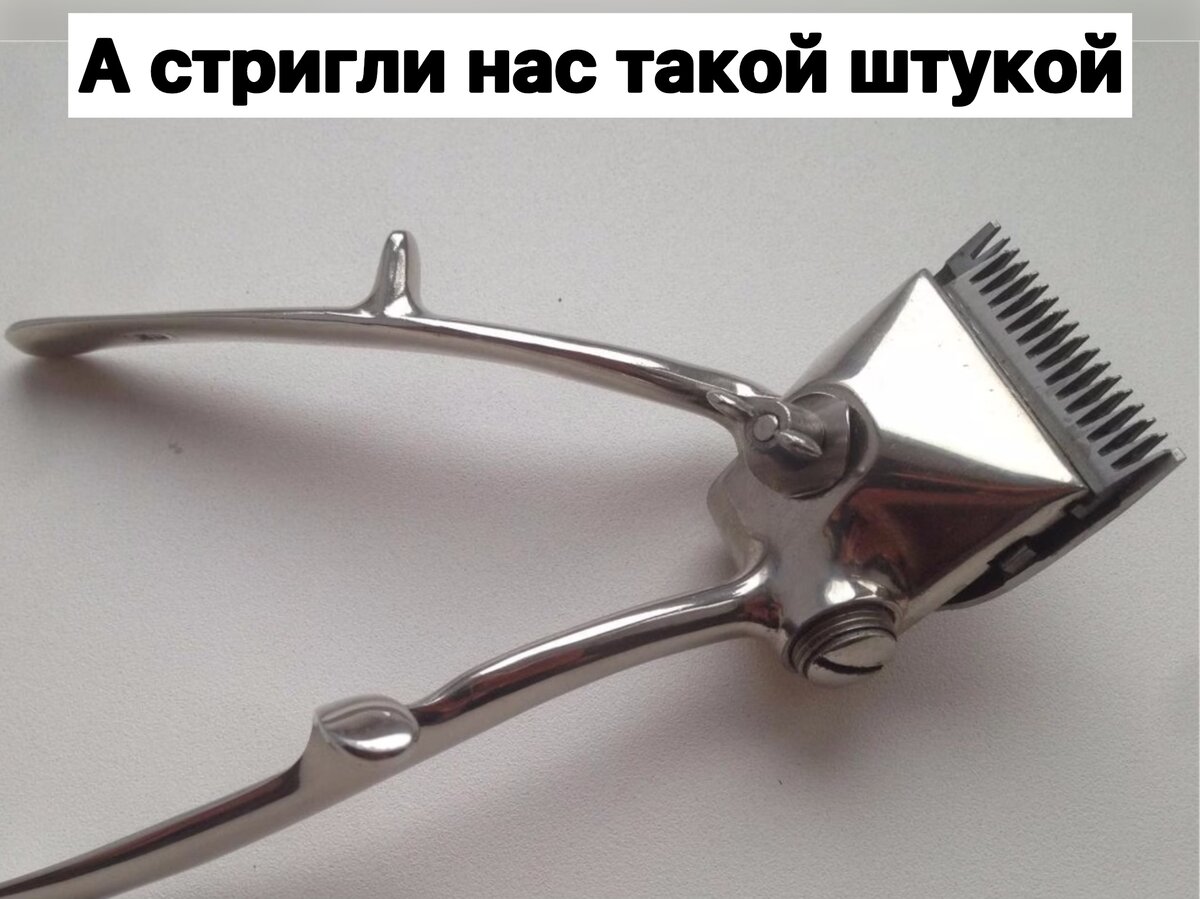   1)У верблюда в горбе вода 2)Ежики любят молоко 3)Собаки любят кости, кошки - рыбу, а мыши - сыр.  4)В аптеках принимают сигаретный пепел и проволоки накаливания из ламп, но нужно собрать килограмм.-7