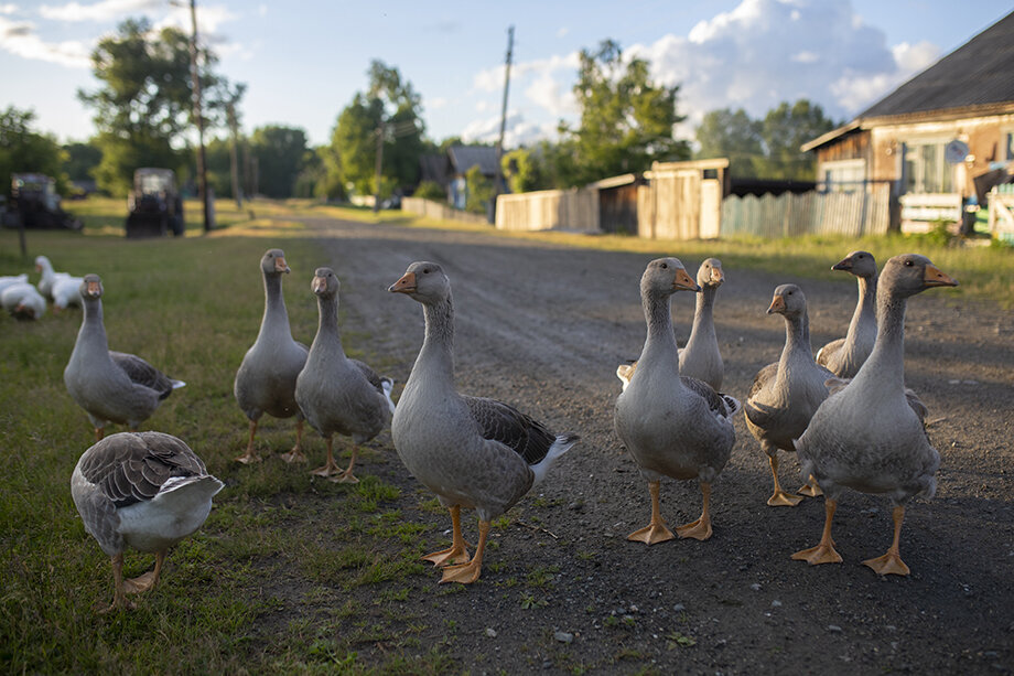 Инвестиции в развитие сельского туризма будут сокращены. Фото: Максим Конанков/Octagon.Media