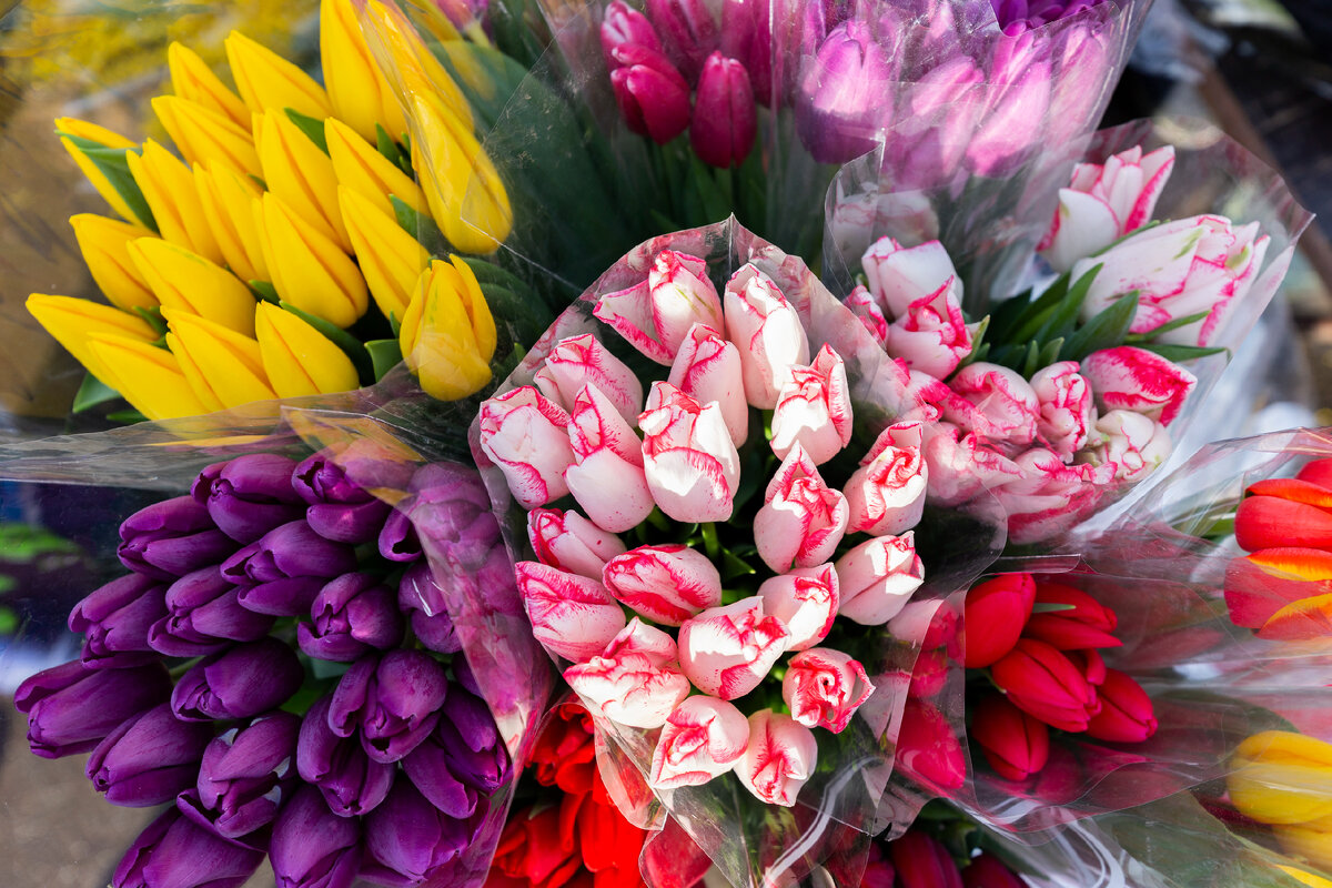 Aleksey Smyshlyaev/Global Look Press