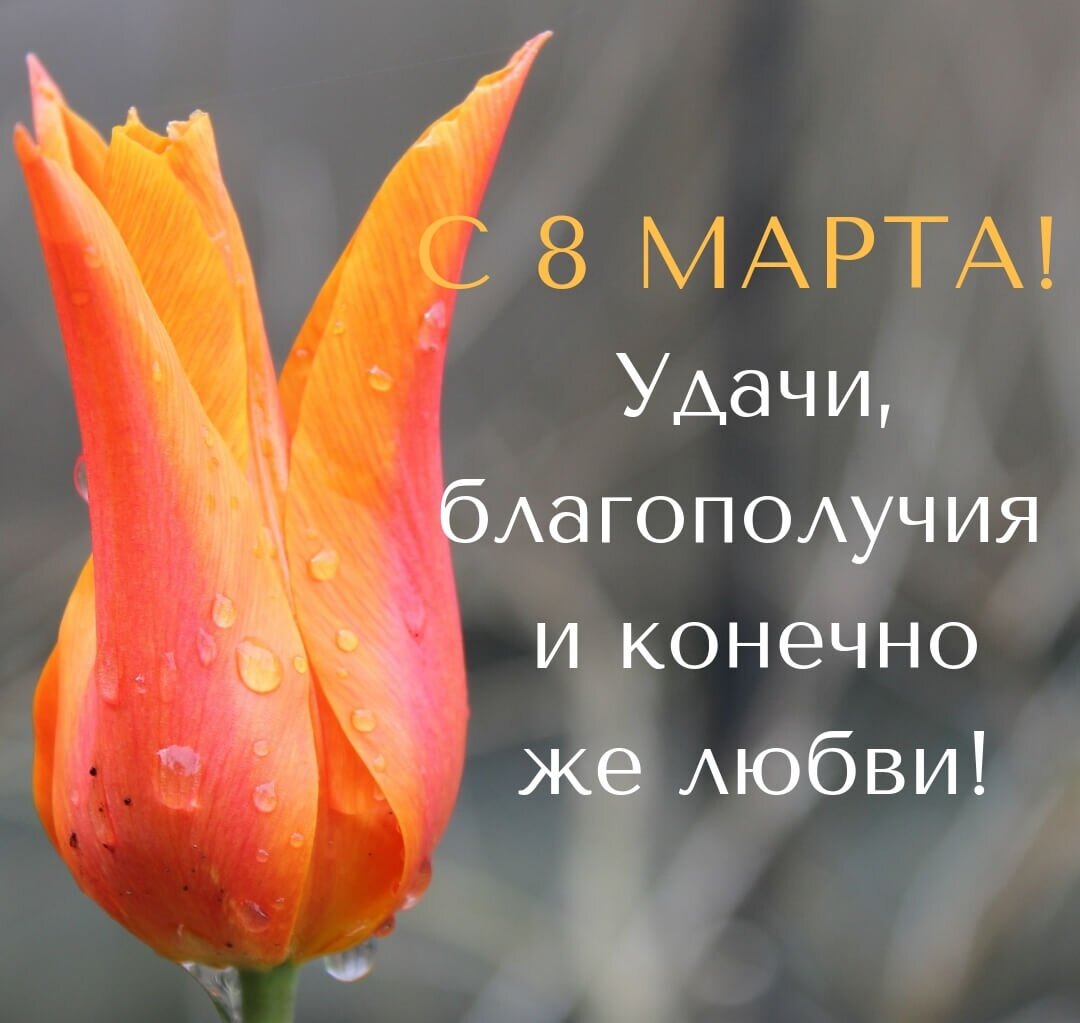Любите друг друга, но не превращайте любовь в цепи.
