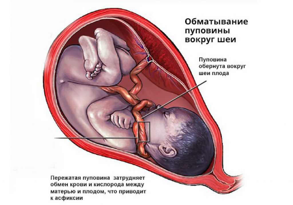 Вопрос задает – Кристина,