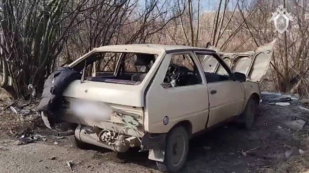    Скрин с видео СК РФ