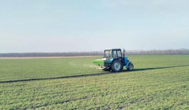    Как проводить ранневесеннюю азотную подкормку озимых: советы Россельхозцентра по Кабардино-Балкарской Республике