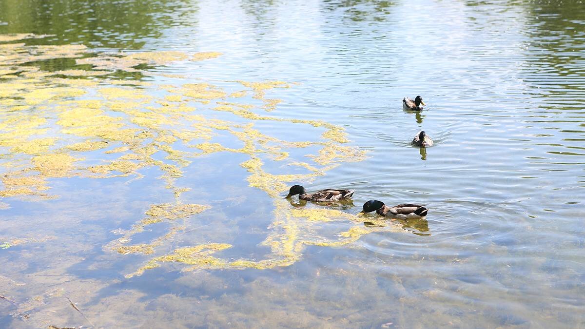    Фото: Наталья Шатохина / Вечерняя Москва