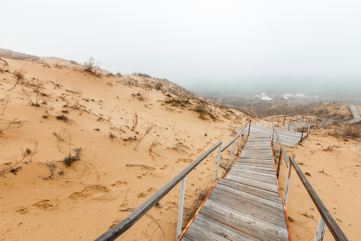 © Aleksandr Artimovich/ Shutterstock